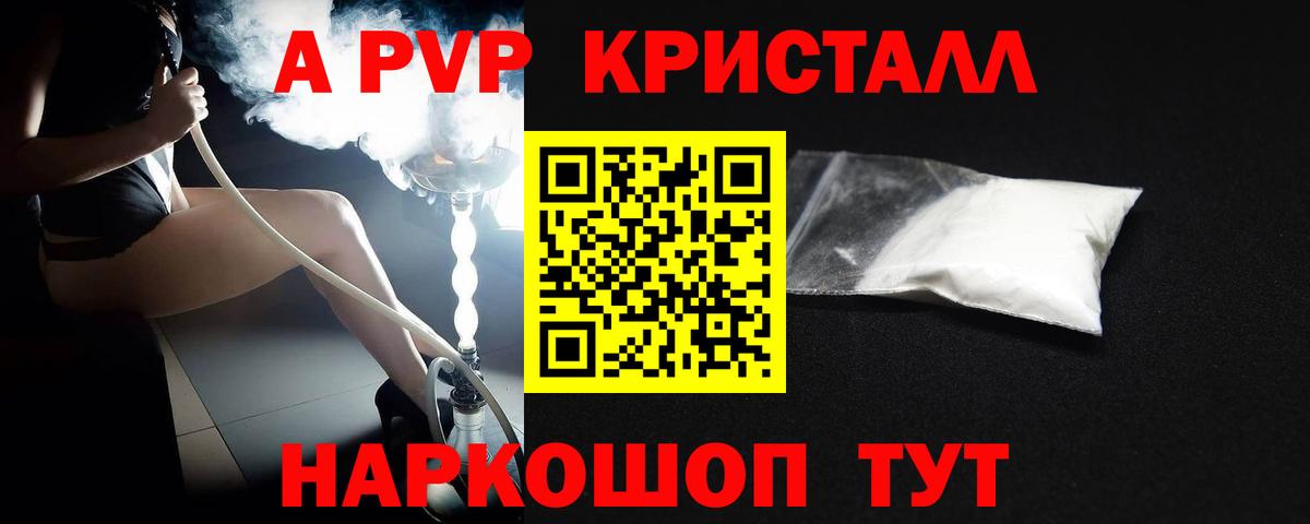 A PVP СК КРИС Новочеркасск