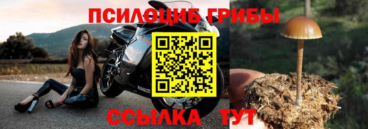 Галлюциногенные грибы прущие грибы  Вход с VPN  Галлюциногенные грибы GOLDEN TEACHER  Новочеркасск 