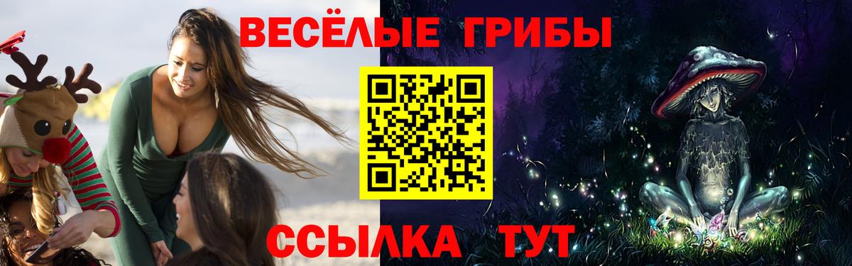 Псилоцибиновые грибы мухоморы Новочеркасск